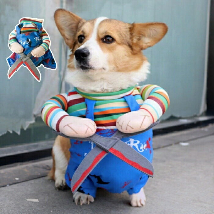 犬用コスチューム コスプレ衣装 ペット服 コスチューム 仮装 変装 ハロウィーン パーティー ドッグウェア 面白い 可愛い ハロウィン 猫用 ハロウィン ペット 仮装 変身服 ハロウィーン 衣装 ペット 服 ペットウェア ペット用 クリスマス 写真撮影のサムネイル