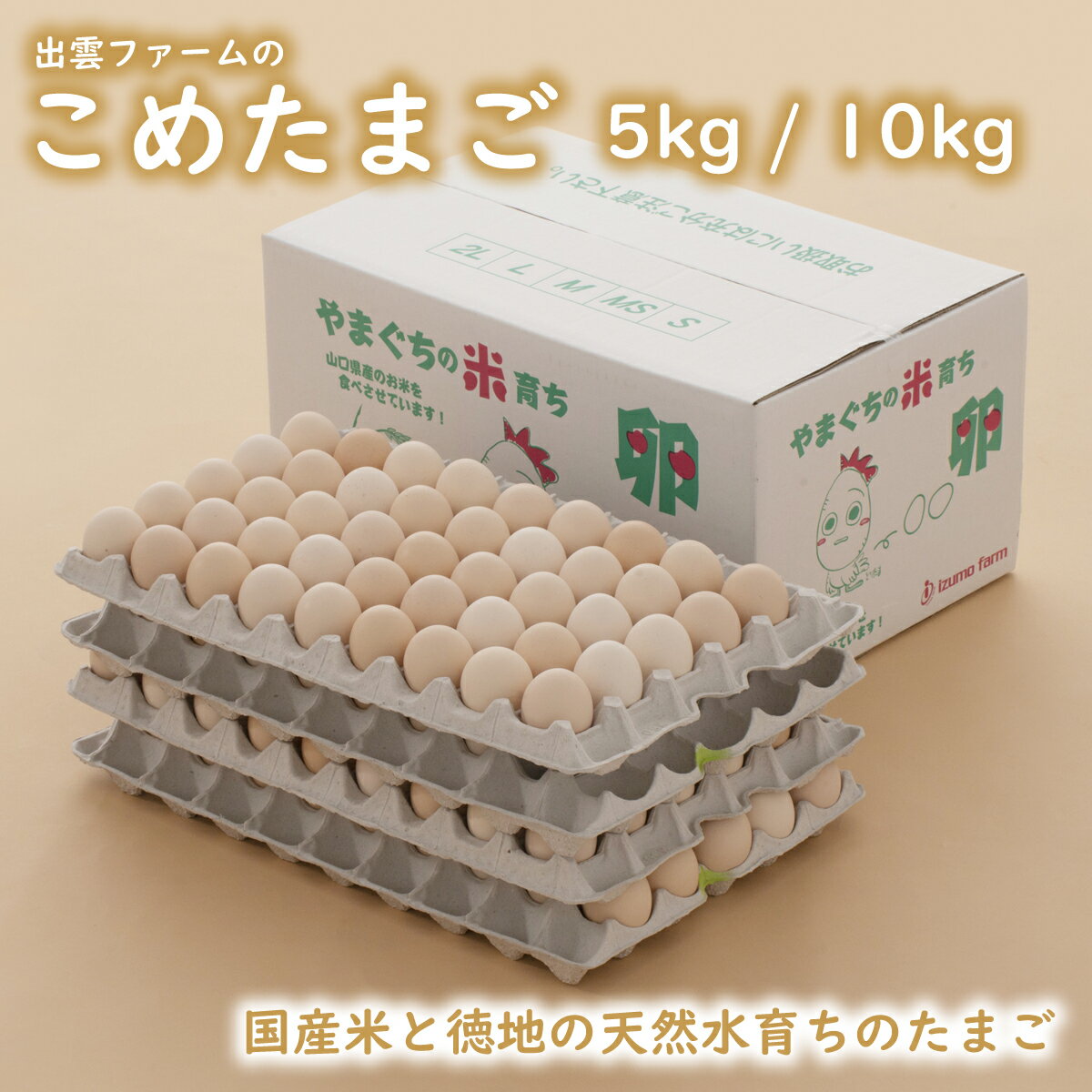 もみじ たまご 80個（破損補償10個含む） 【 九州 熊本県産 新鮮 生卵 卵】【送料無料】