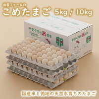 出雲ファームのこめたまご（5kg / 10kg / お米育ちのニワトリのおくりもの / Mサイ...