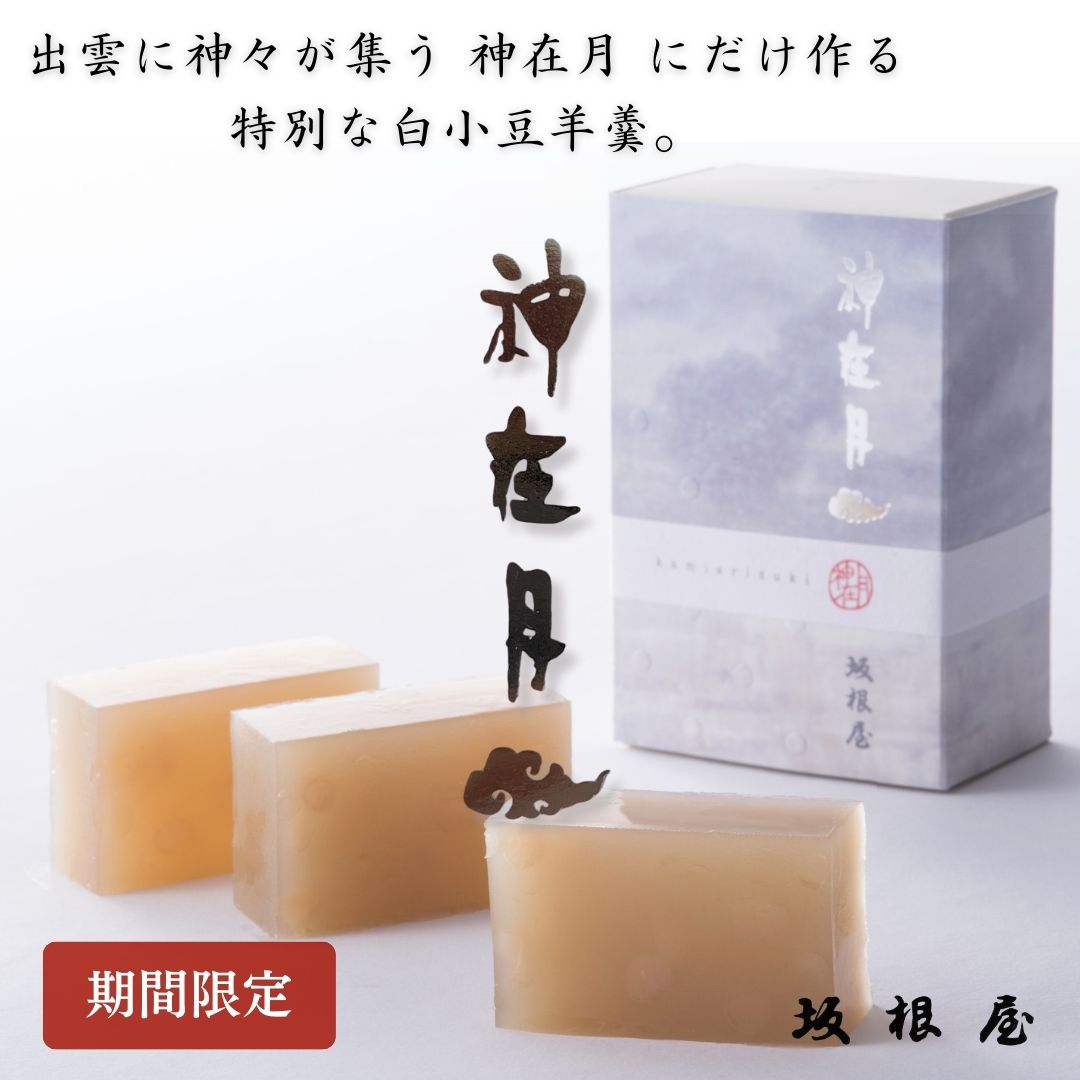【 11/30までの期間限定 】坂根屋 神在月 羊羹 出雲 高級 ギフト 国産 白小豆 珈琲豆 人気 和菓子 和スイーツ 老舗 お取り寄せ 手土産 贈り物 プレゼント ギフト 出雲大社 無添加 高級和菓子 お土産 期間限定 特別のサムネイル