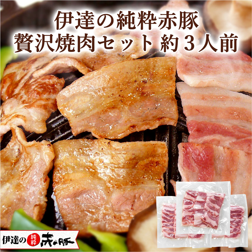 伊達の純粋赤豚 贅沢焼肉セット 約3人前 750g(バラ250g×2 カタ250g)【ギフト】【真空・冷凍】(送料無料 豚バラ肉 豚カタ肉 精肉 BBQ 柔らかい 高級 しもふりレッド デュロック お取り寄せ お祝い 内祝い お返し くんぺる 国産豚肉 宮城県産 登米市産)