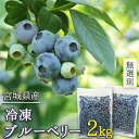 訳あり 冷凍ブルーベリー 無選別 2kg (1kg×2p)( 国産 宮城県登米市産 農家直送 お取り寄せ 製菓材料 お菓子作り 手づくり 手作り ジャムに デザートに フルーツ 果物 2キロ どっさり お徳用 大容量 業務用 加工用 飲食店 お買い得 宮城県産 登米市 東北 )