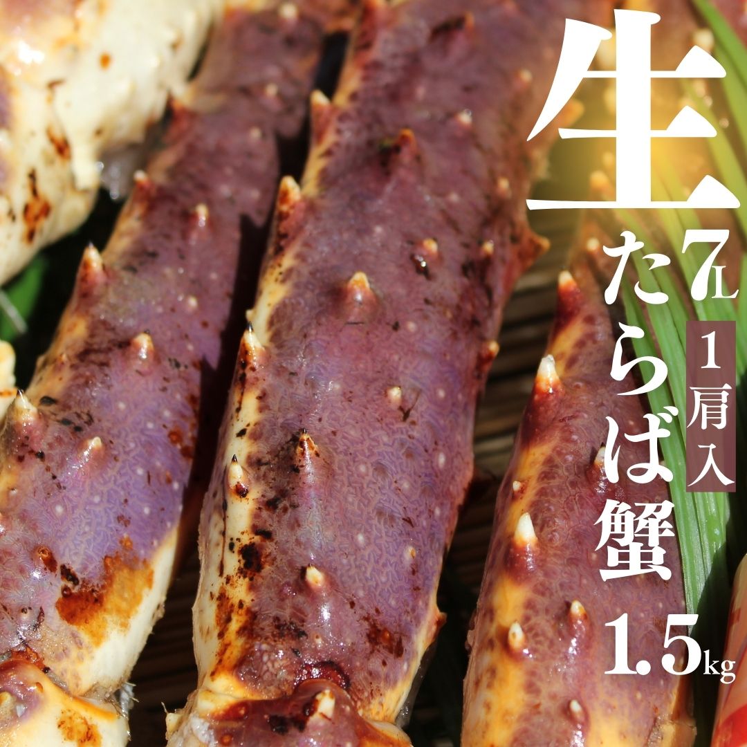 超特大生たらば蟹 1.5kg×1肩 7L　シュリンク たっぷり3〜5人前 ＜たらば蟹/生タラバ蟹/生タラバガニ/生たらばがに/お歳暮/お中元/かに/カニ/蟹/鍋/贈答用/バーベキュー/お祝い/パーティー/お正月/クリスマス/サラダ/しゃぶしゃぶ/楽天蟹＞