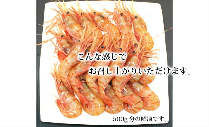 特選天然ぼたん海老　500g とろける甘みと旨味 エビ えび 生食 お刺身 海鮮丼 味噌汁 業務用 高級 ごちそう 贅沢 おつまみ 贈り物 ギフト 母の日 父の日 敬老の日 結婚 お祝 誕生日 長寿 年末年始 お正月 冷凍 高級海鮮 ごほうび飯 海鮮 海産物 簡単調理 時短 晩酌 酒の肴