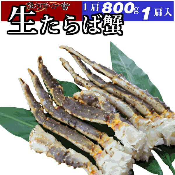 【送料無料】特大 生たらば蟹 800g シュリンク 1肩 たっぷり 2〜3人前 ＜生タラバ蟹/生タラバガニ/生たらばがに/お歳暮/お中元/かに/カニ/蟹/鍋/贈答用/バーベキュー/お祝い/パーティー/サラダ＞