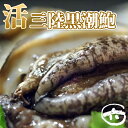 高級あわび 生食用 1kg（14個入） 鮑 高級料亭でも使われる高品質！！ 化粧箱入り 刺身 お取り寄せ 食品 冷凍便 プロ愛用 海鮮