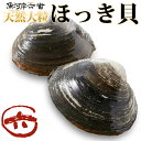 天然大粒活ほっき貝約2kg5~6個入＜活/生/天然/ほっき貝/北寄貝/ホッキ貝/ほっき飯/お刺身/天ぷら/フライ/汁物＞