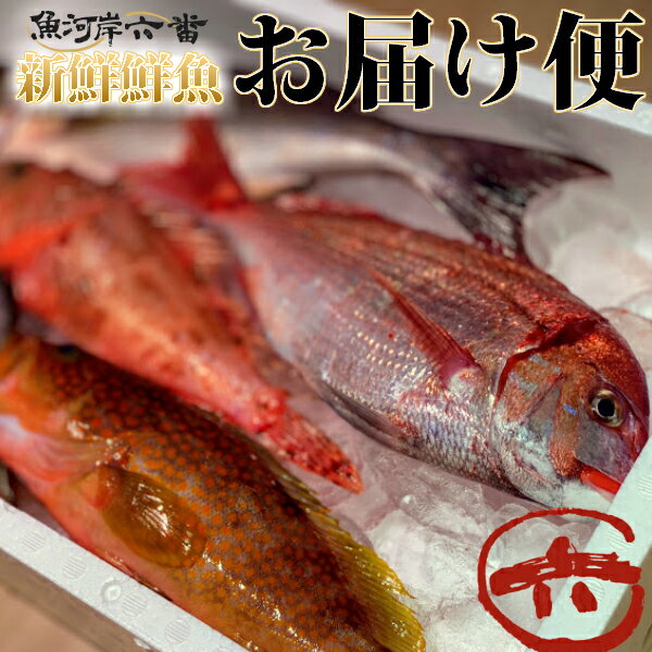 【送料無料】新鮮鮮魚お届け便