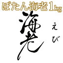 【送料無料】天然ぼたん海老1kg＜エビ/えび/生食/お刺身/海鮮丼/味噌汁/業務用＞