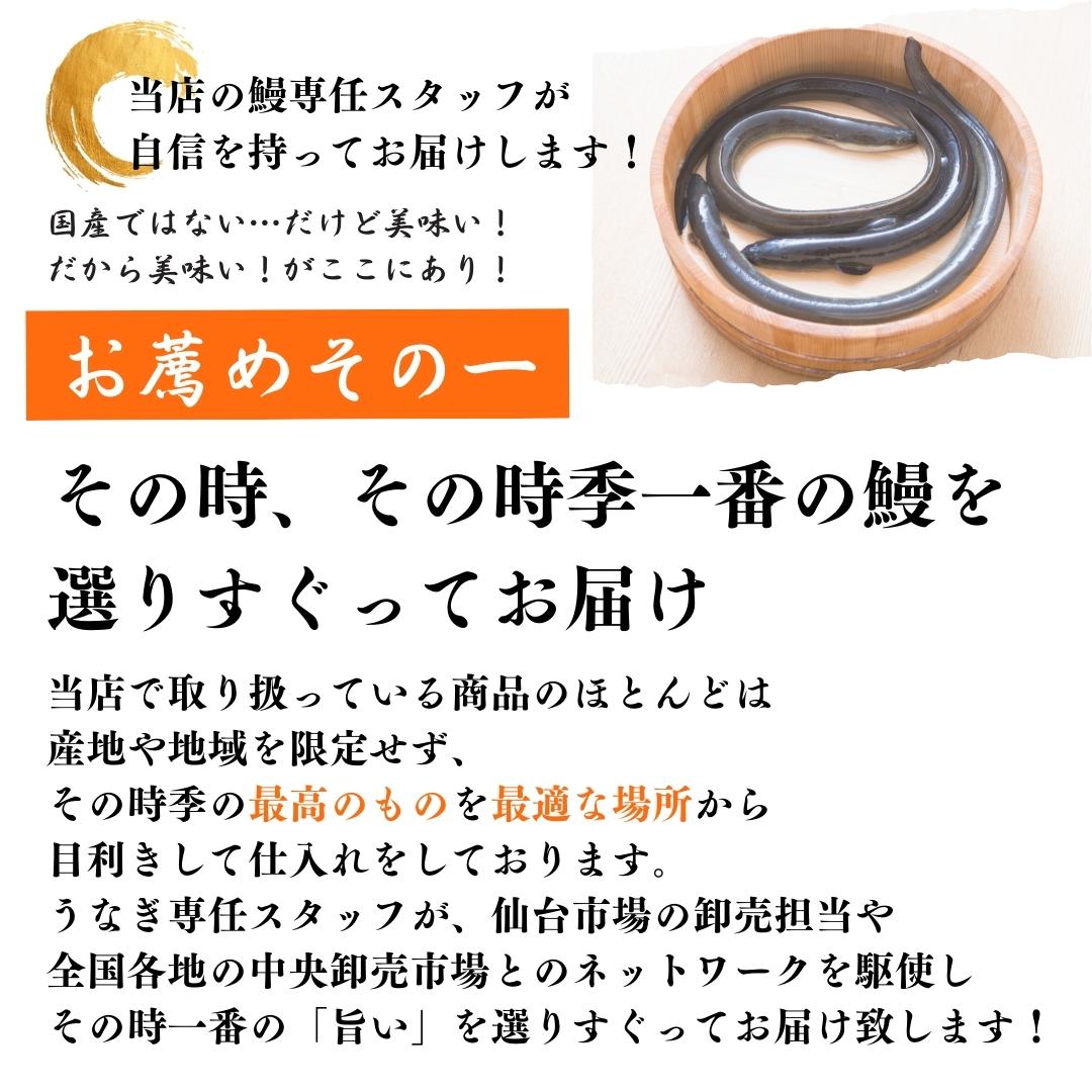 厳選鰻蒲焼約200g×2尾＜うなぎ/ウナギ/蒲焼/うな重/うな丼/ひつまぶし/丑の日/父の日/敬老の日＞ 2