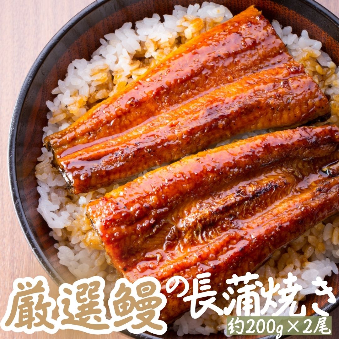 厳選鰻蒲焼約200g×2尾＜うなぎ/ウナギ/蒲焼/うな重/うな丼/ひつまぶし/丑の日/父の日/敬老の日＞ 1