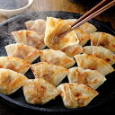【産直・送料込】芦屋 一口餃子「壱心」セット【代引・熨斗・包装不可】贈り物 プレゼント お祝い お返し 出産 結婚 ギフト お礼 ご挨拶 手土産 内祝