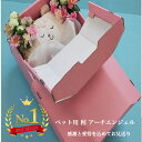 【実績No1 あす楽対応】 即日手配 送料無料 ペット用棺 アーチエンジェル ペット棺 犬用棺 ネコ用棺 ピンク ブルー ペット棺桶 棺 段ボール棺 ペット葬 ...