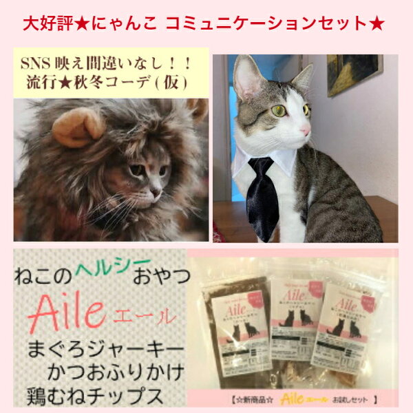 ライオンたてがみ みんな探してる人気モノ ライオンたてがみ ペット ペットグッズ ライオンたてがみ みんな探してる人気モノ ライオンたてがみ ペット ペットグッズ