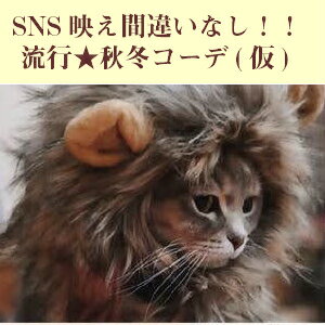 超絶キュン//送料無料★猫用帽子猫被り物ライオンたてがみウィッグ耳付き変身コスプレキャップかぶりもの調節可能着脱簡単クリスマス猫ライオンたてがみネコ帽子耳付きペット服ペット仮装猫仮装犬用ウィッグ猫用ウイッグ猫の服映え誕生日