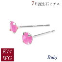 ルビー ピアス k14wg 天然石 7月誕生石 14金ホワイトゴールド レディース 50代 40代 60代 30代 20代 おしゃれ 小さい 小さめ 一粒 4本爪 シンプル 妻 彼女 ギフト プレゼント 女性用 クリスマス ホワイトデー 母の日 敬老の日(4)