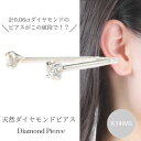 【8/17まで!お盆休み期間全商品ポイント5倍】ダイヤモンド ピアス 一粒 k14wg 14金ホワイトゴールド 計0.06ct レディース 50代 40代 60代 30代 20代 小さい 小さめ 4本爪 4月誕生石 天然石 スタッド ギフト プレゼント クリスマス ホワイトデー 母の日 敬老の日