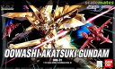 HG 1/144 ORB-01 オオワシアカツキガンダム (機動戦士ガンダムSEED DESTINY)