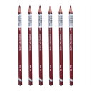 Derwent ダーウェント 色鉛筆 パステルペンシル マルーン P170 ケース6本入り 2300246