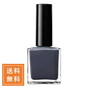 ADDICTION アディクション ザネイルポリッシュ+ #030S Blue Hour 12mL ★定形外送料無料