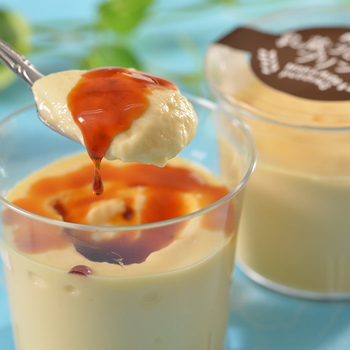 【送料込み】【北海道】とろける北海道プリンとチーズケーキセット（江戸屋） ※冷凍配送 お土産 ギフト プチギフト 誕生日