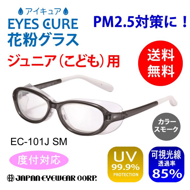 【あす楽対応】 花粉 メガネ 子供用 おしゃれ スポーツ 度付対応！ こども用 AXE アックス アイキュア EC-101J SM スモーク ポリカーボネート製 黄砂 pm2.5対策 キッズ ジュニア 保護メガネ ゴーグル メール便 送料無料