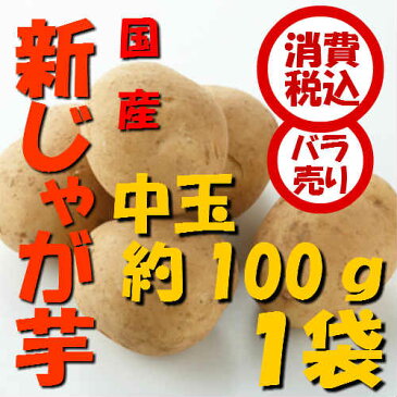 【税込　バラ売り】鹿児島産他　新じゃが芋　中玉（L）100g　1袋（玉葱 タマネギ たまねぎ じゃがいも ジャガイモ ポテト オニオン 常備野菜 特用 セット）上越フルーツ