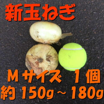 【税込　バラ売り】長崎産他　新玉ねぎ　小玉（M）100g　1袋（玉葱 タマネギ たまねぎ じゃがいも ジャガイモ ポテト オニオン 常備野菜 特用 セット）上越フルーツ