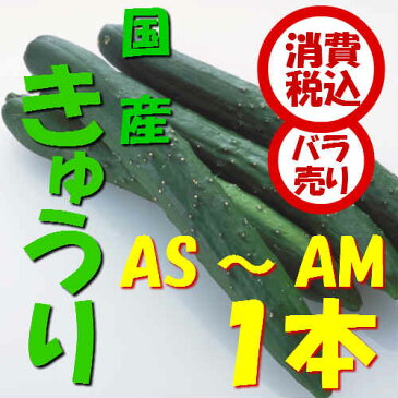 【税込　バラ売り】新潟・群馬県産他　きゅうり　AS　1本（胡瓜　キュウリ　きゅうり　カッパ　サラダ）上越フルーツ