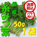 【税込 バラ売り】新潟県産他 糸みつば 50g 1袋(みつば...