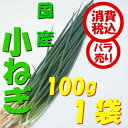 【税込 バラ売り】静岡県産他 小ねぎ 100g 1袋(小ネギ...
