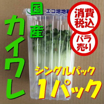 【税込 バラ売り】埼玉県産他 カイワレ シングルパック 1パック（貝割 かいわれだいこん 貝割大根 カイワレ）上越フルーツ