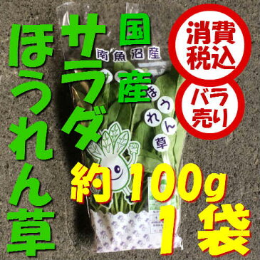 【税込 バラ売り】新潟県産他 サラダほうれん草 約100gFG 1袋（ほうれんそう ホウレンソウ 法蓮草）上越フルーツ