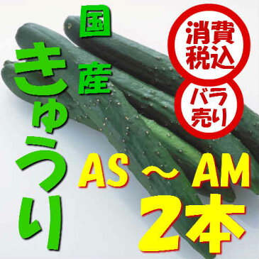 【税込　バラ売り】新潟・群馬県産他　きゅうり　AM〜AS　2本（胡瓜　キュウリ　きゅうり　カッパ　サラダ）上越フルーツ