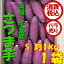 【税込 バラ売り】茨城・千葉県産他 さつま芋 S(1本100〜200g) 1kg 1袋(サツマイモ 甘藷 さつま 薩摩)上越フルーツ