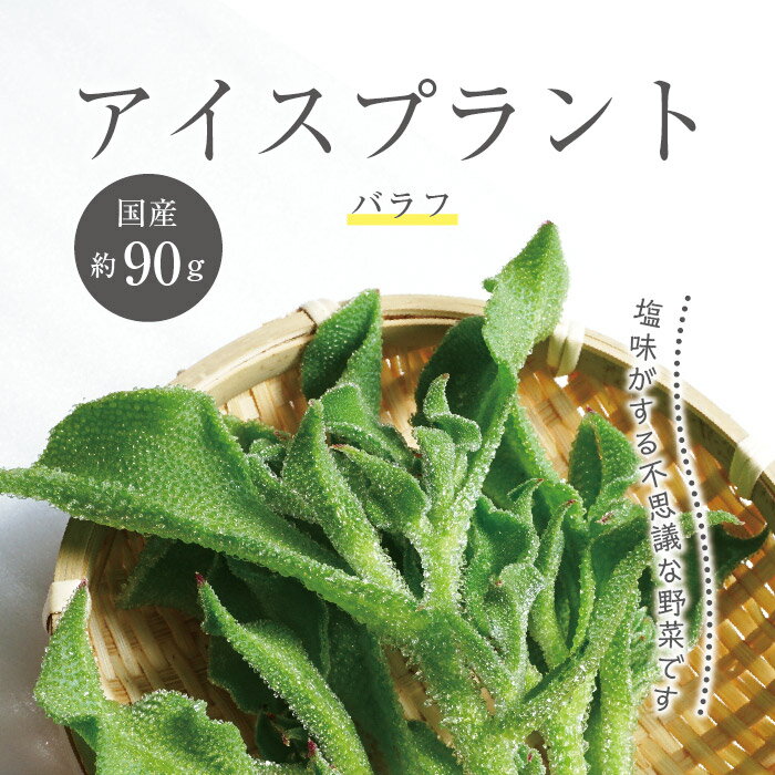 【国産 産地は次期により変わります】 アイスプラント バラフ 約90g ｜ 上越フルーツ あいすぷらんと 野菜 季節の野菜