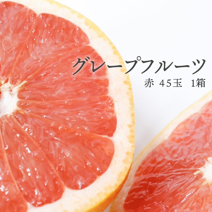 【送料無料 箱売 消費税込】イスラエル産他 グレープフルーツ 赤　44玉 1箱 上越フルーツのサムネイル