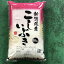 【本州 送料無料 税込】令和5年産新米 新潟県上越市産 こしいぶき 精米 10kg 上越フルーツ | ケンミンSHOW ケンミンショー 新米 新潟 おにぎり 新潟おにぎり 新潟塩むすび 塩むすび 新潟おむすび おむすび