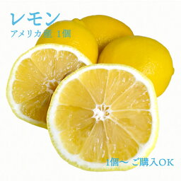 アメリカ産他 レモン 1個 115玉サイズ ｜れもん 檸檬 柑橘 フルーツ 上越フルーツ