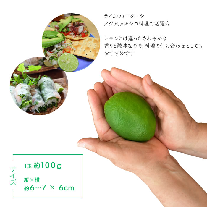 �饤�� 1�� �ᥭ������ �å饤�� �� ���� ���� �ե롼�� ��ۥե롼��