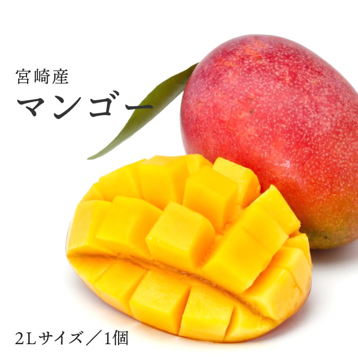 【税込 バラ売り】宮崎県産他 完熟マンゴー 2L 1玉 ｜ マンゴー マンゴ まんごー 宮崎 MANGO フルーツ ..