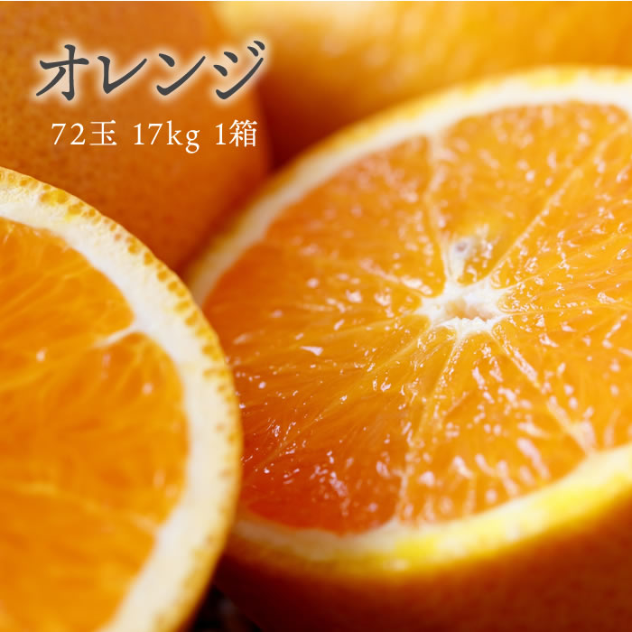 【本州送料無料 箱売 消費税込】アメリカ産他 オレンジ 72玉 約 17kg 1箱 (業務用 おれんじ)上越フルーツ