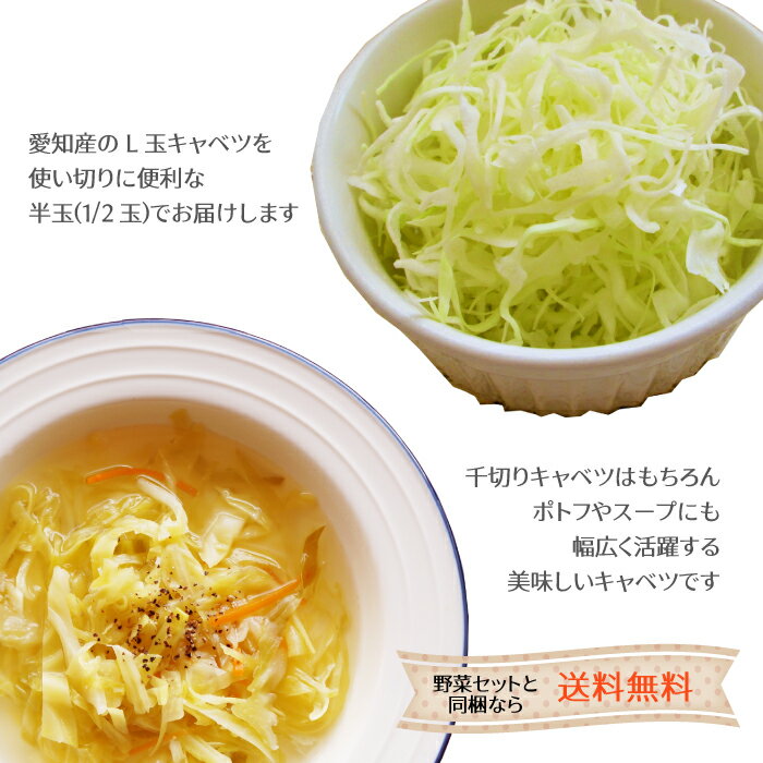 �� �Х���� �۰��Ρ����ϸ���¾ ����٥� L������ 1/2�� �� ����٥� ����٤� ���å� ��û ���� ����� �դ���碌 ��ۥե롼��