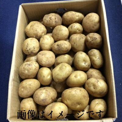 【送料無料 税込】 徳用 常備野菜 鹿児島県他 新じゃが芋 L10kg上越フルーツ