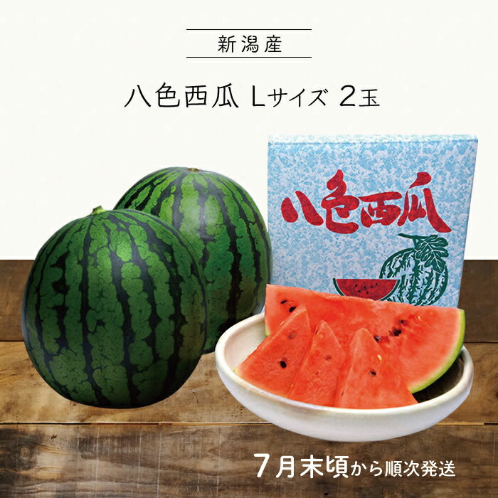 ＜予約＞【 お中元 夏ギフト 2023 本州 送料無料 】 八色西瓜 Lサイズ 2玉｜ すいか スイカ 西瓜 L サイズ 八色すいか 八色スイカ 八色 果物 新潟 ギフト 夏 プレゼント お中元 お取り寄せグルメ お取り寄せ 贈り物 贈答品のサムネイル