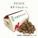 商品画像2