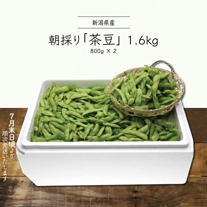 ＜予約＞【 お中元 2022 夏ギフト 本州 送料無料 】 朝採り「茶豆」1.6kg 新潟産 ｜ 茶豆 ちゃ豆 ちゃまめ 枝豆 えだまめ 朝採り ギフト 夏 プレゼント お中元 贈り物 贈答品 送料無料 上越フルーツ