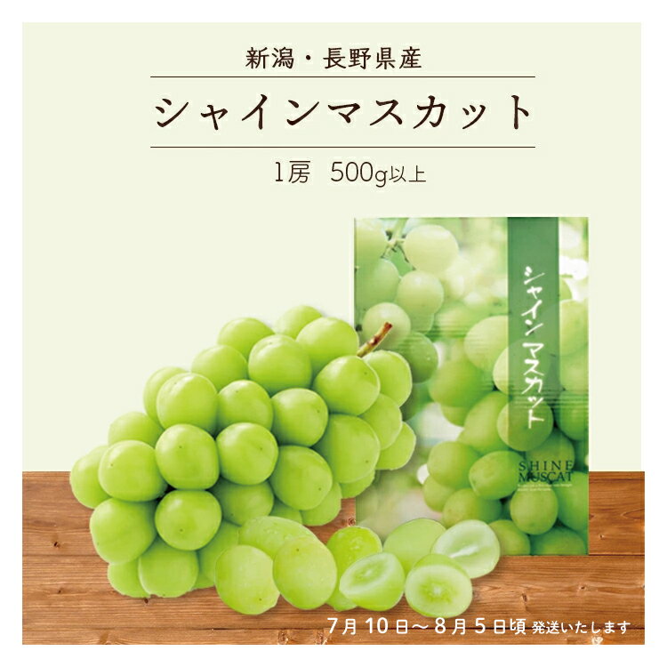 ぶどう 【 2024 夏ギフト 本州 送料無料 】 シャインマスカット 1房 新潟・長野県産 500g以上 ｜ マスカット ブドウ 新潟 長野 果物 ぶどう 葡萄 シャイン 種なし ギフト 夏プレゼント 贈り物 贈答品 送料無料 上越フルーツ　C15