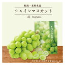 【 2025 夏ギフト 本州 送料無料 】 シャインマスカット 1房 新潟・長野・山梨県産 500g以上 | マスカット ブドウ 新潟 長野 果物 ぶどう 葡萄...