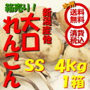 大口れんこん(青空レストランで紹介)をお取り寄せ 新潟県長岡市